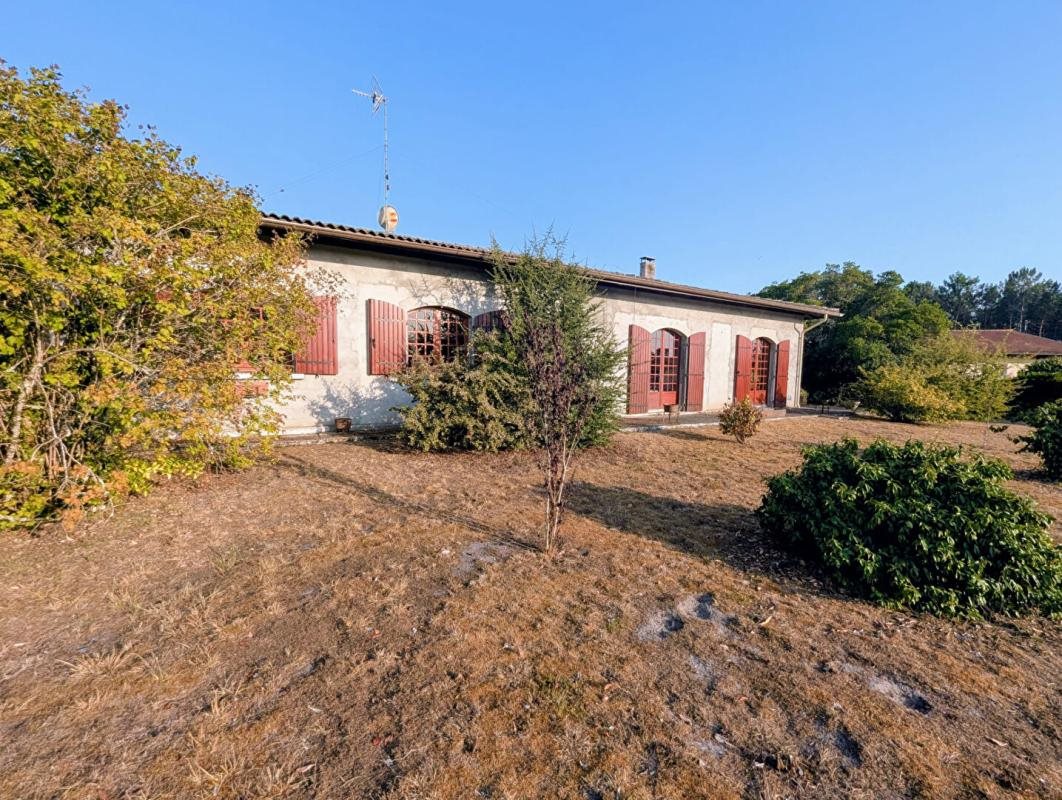 Maison à vendre, 141m², Belin-Béliet