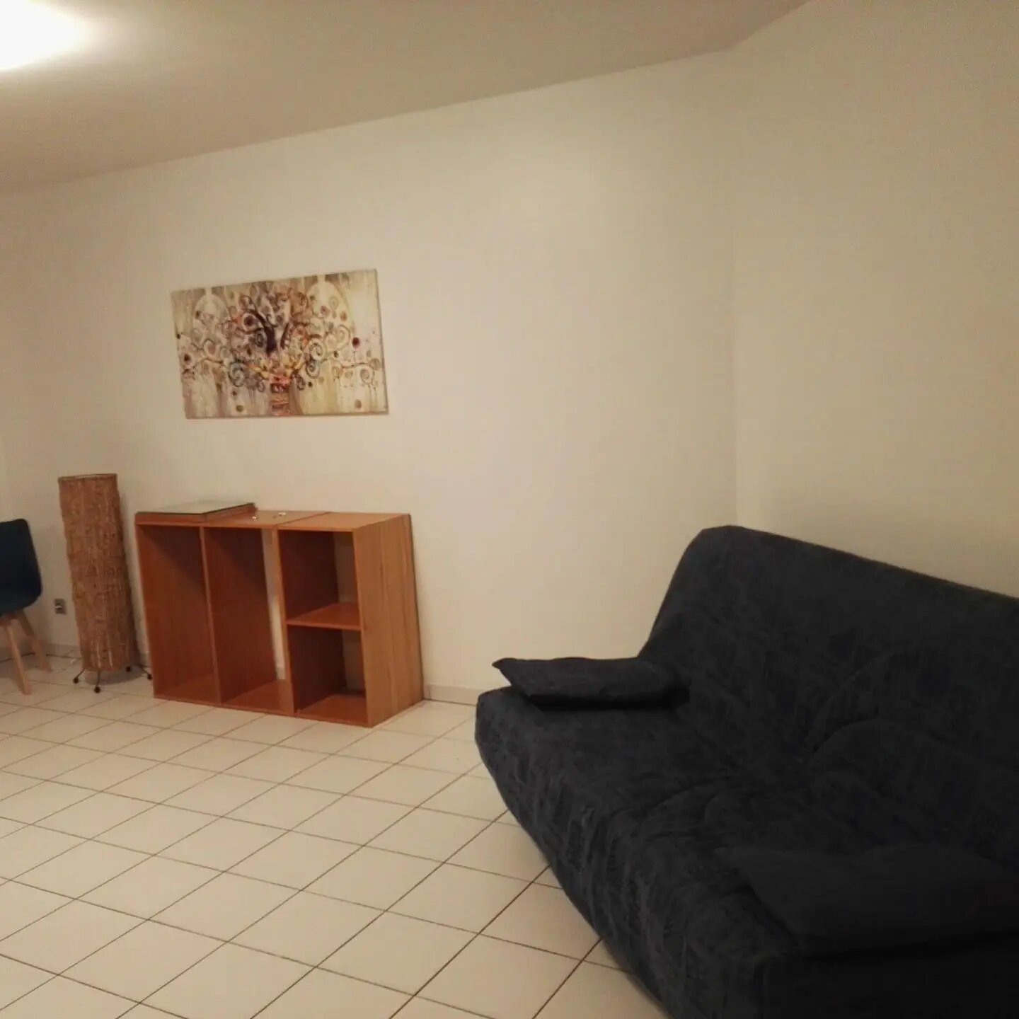 Appartement à louer, 50m², Villeurbanne