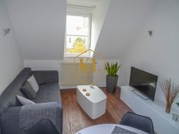 Appartement à louer, 45m², Colmar