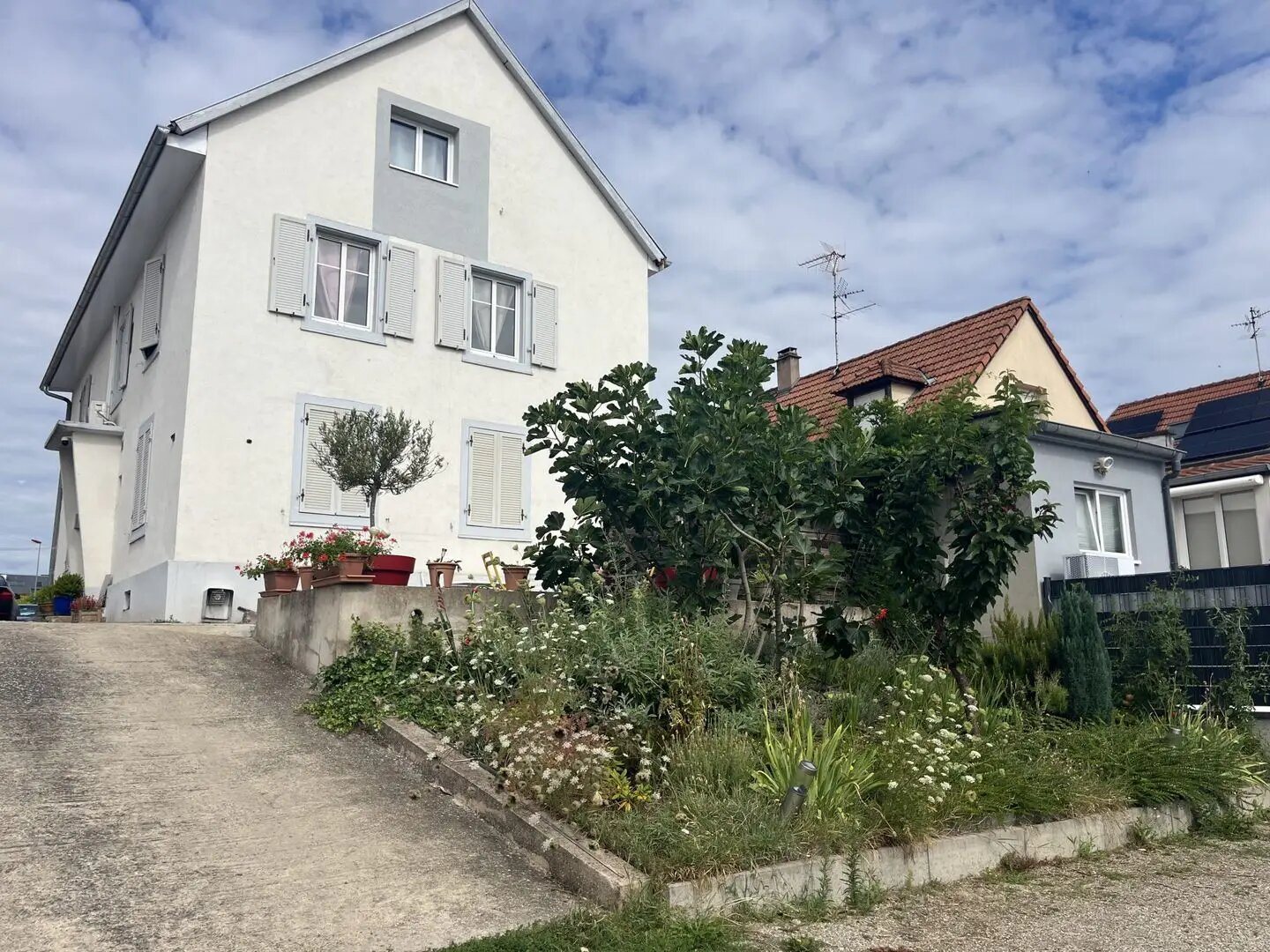 Appartement à vendre, 240m², Schiltigheim