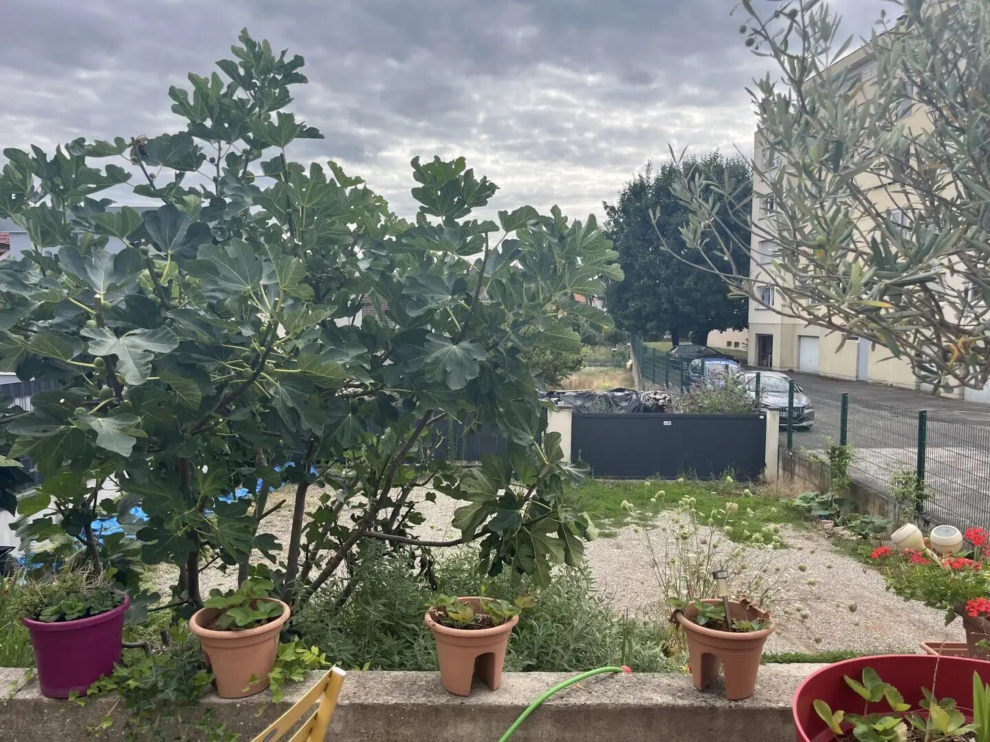Appartement à vendre, 240m², Schiltigheim