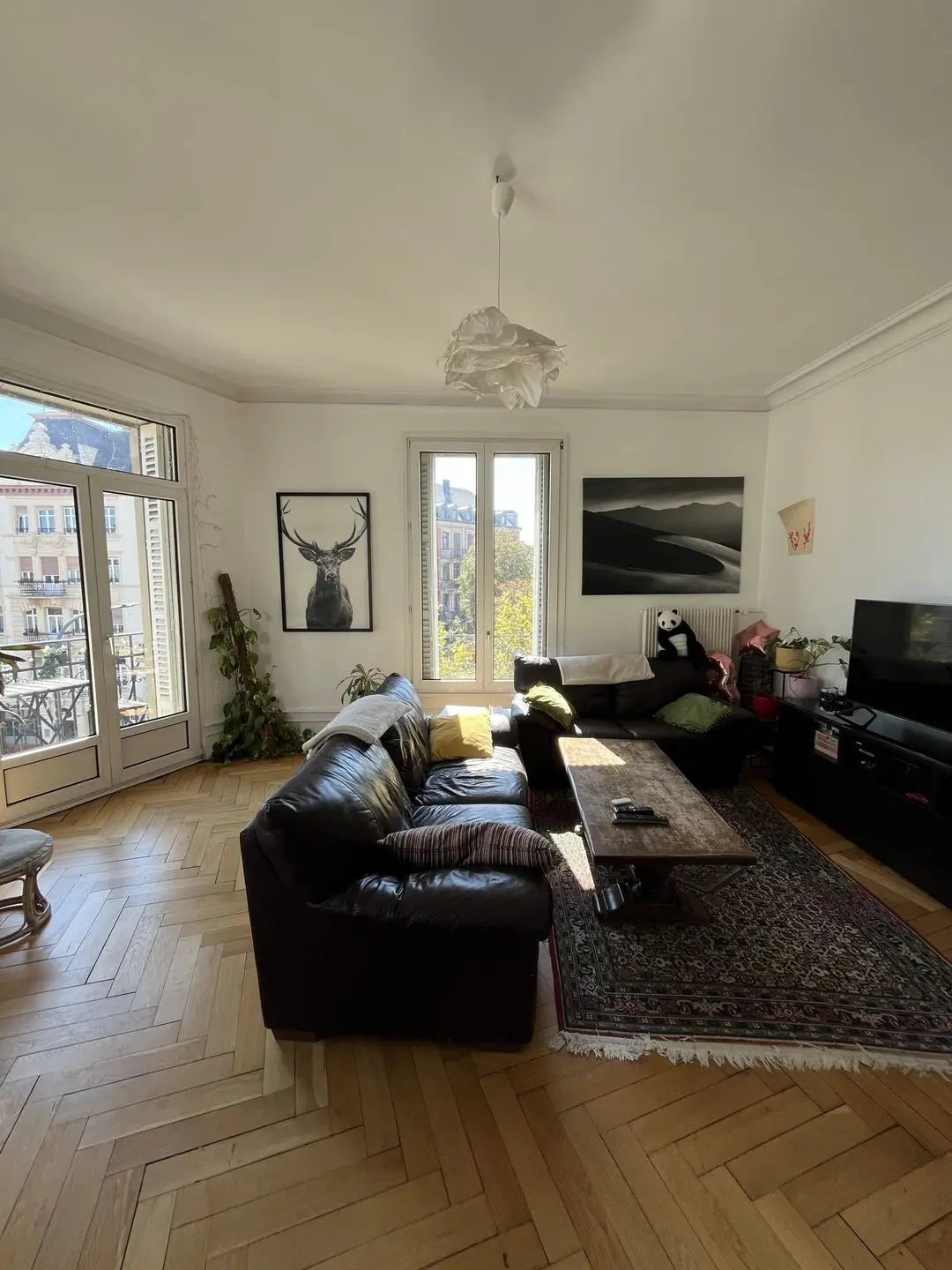 Appartement à louer, 133m², Strasbourg