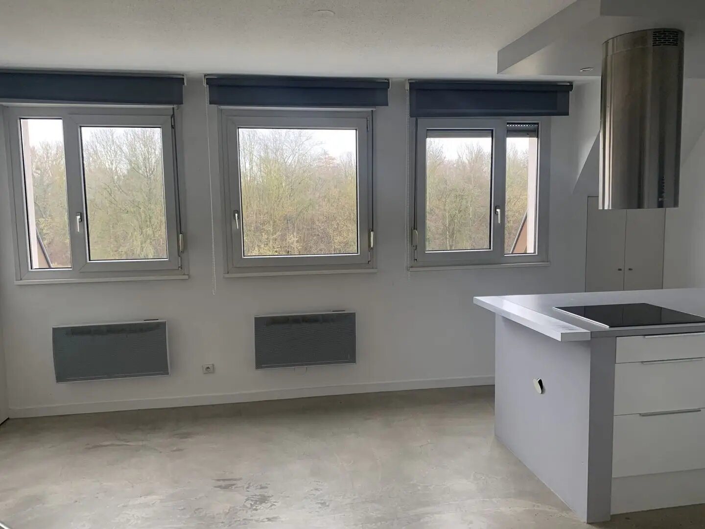 Appartement à louer, 48m², Strasbourg