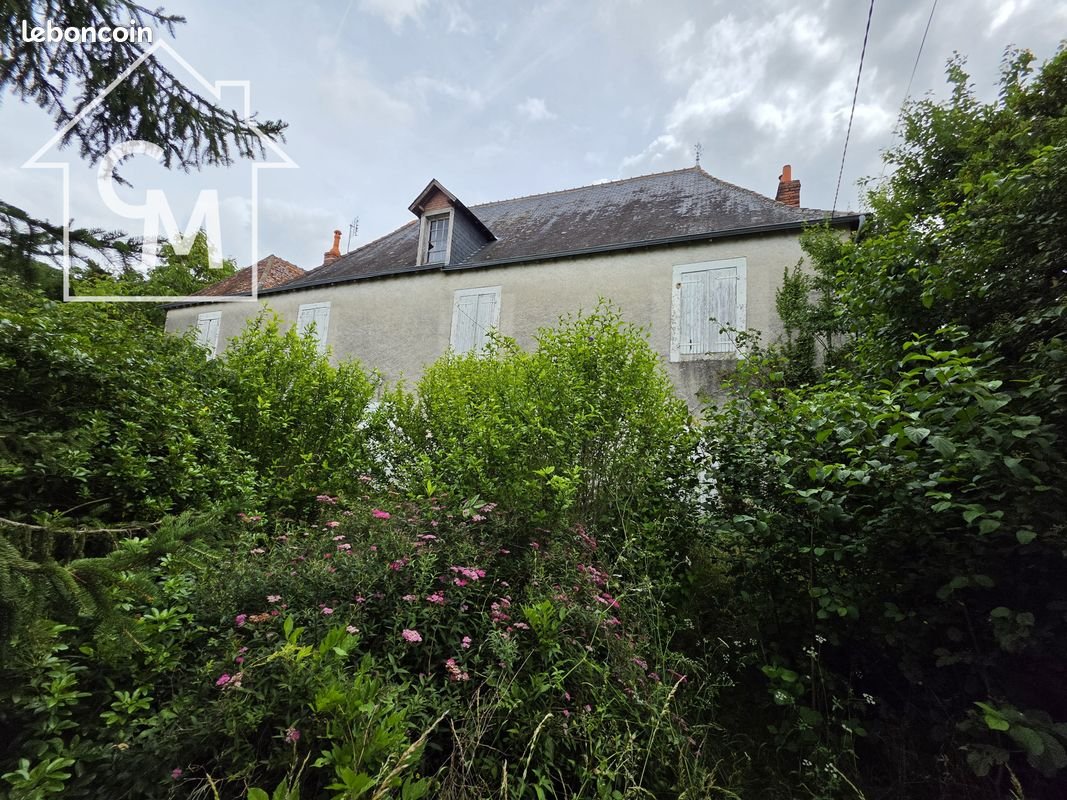 Maison à vendre, 307m², Le Blanc