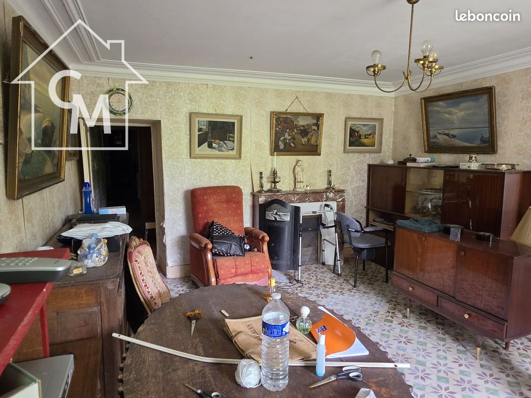 Maison à vendre, 307m², Le Blanc