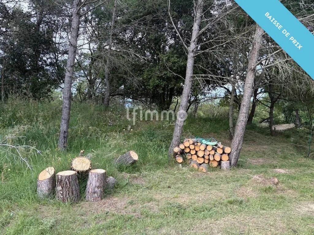Maison à vendre, 450m², Palaja