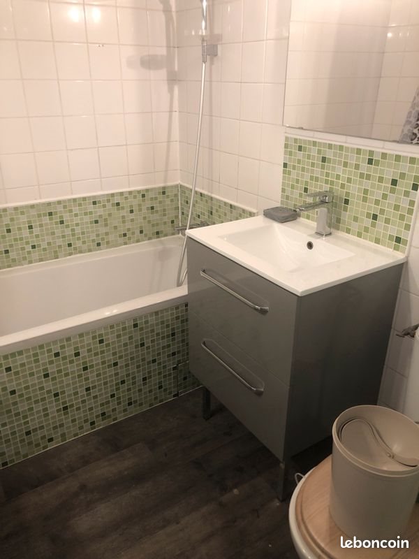 Appartement à louer, 39m², Angers