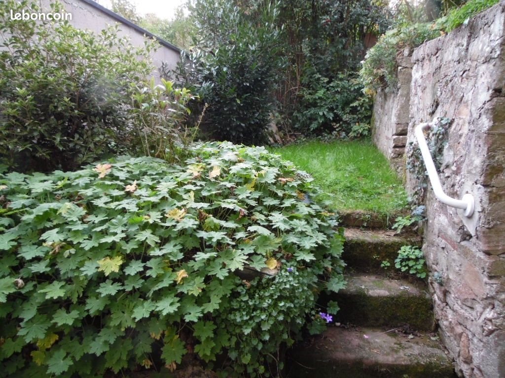 Maison à vendre, 74m², Senones