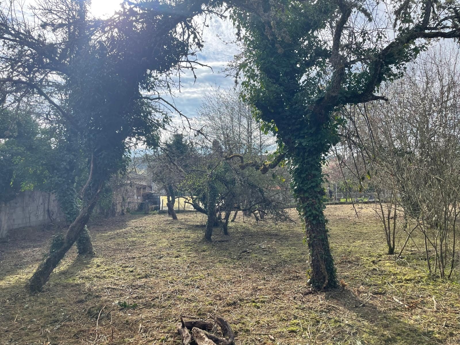 Maison à vendre, 50m², Sugères