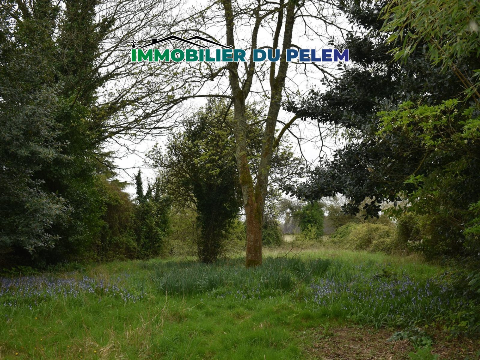 Maison à vendre, 42m², Carhaix-Plouguer