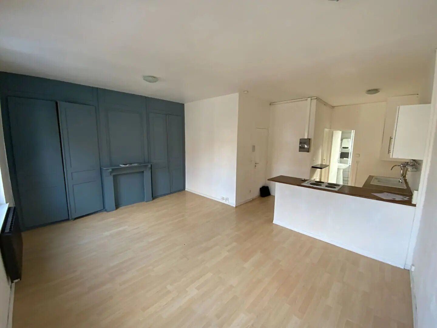Appartement à vendre, 190m², Lille