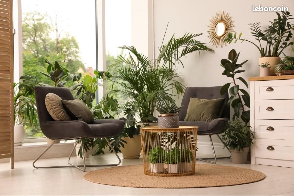 Appartement à vendre, 62m², Six-Fours-les-Plages
