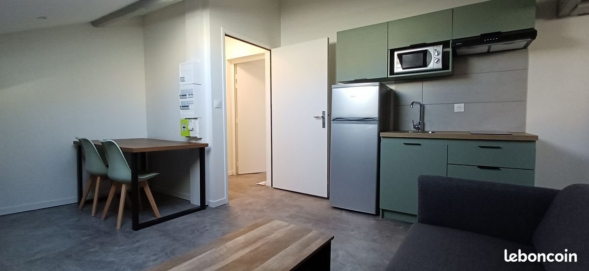 Appartement à louer, 55m², Saint-Étienne
