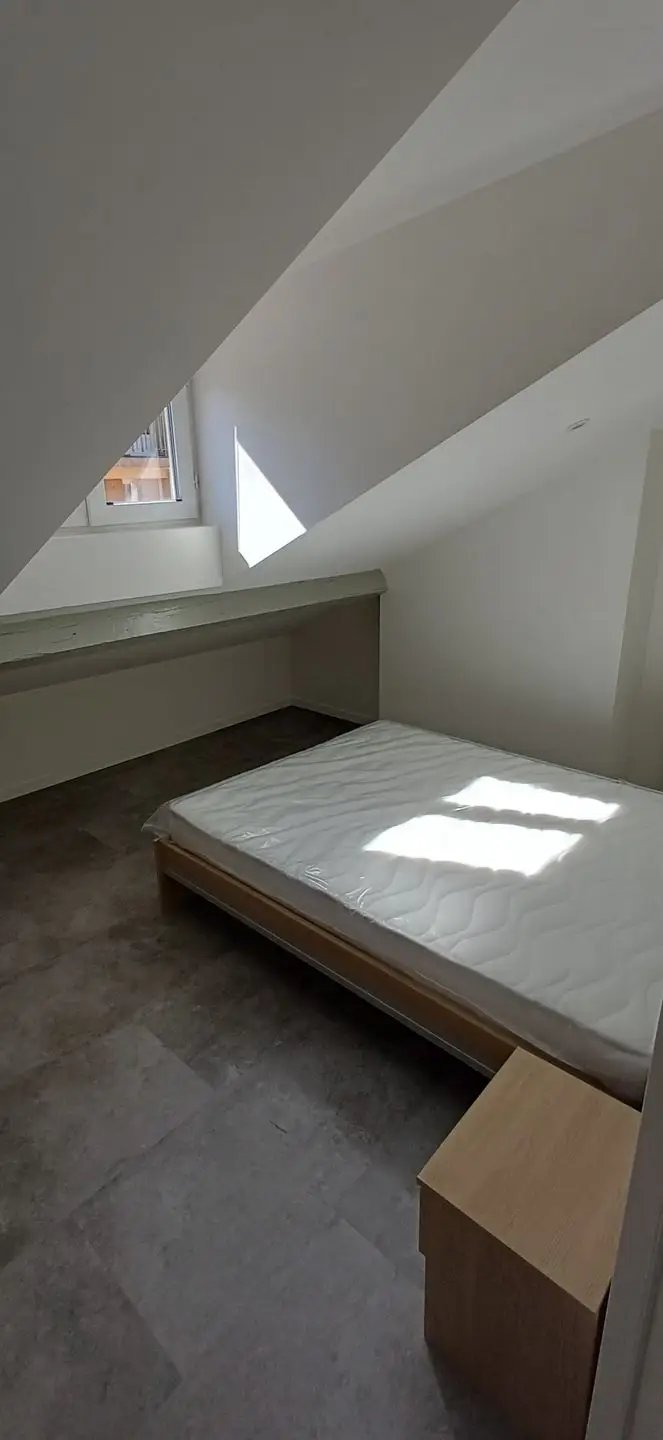Appartement à louer, 55m², Saint-Étienne