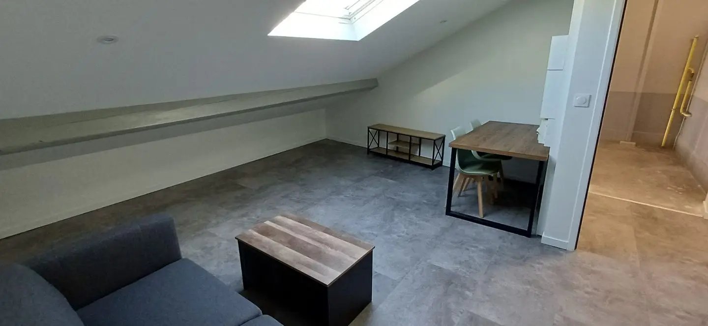 Appartement à louer, 55m², Saint-Étienne