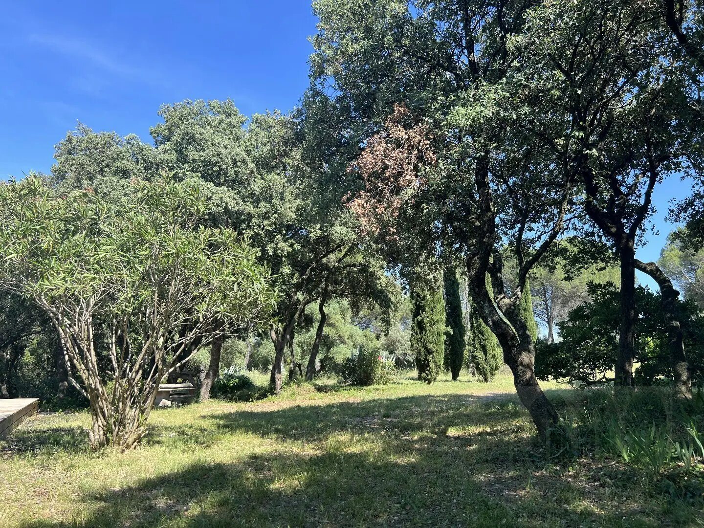 Maison à vendre, 272m², Boisseron