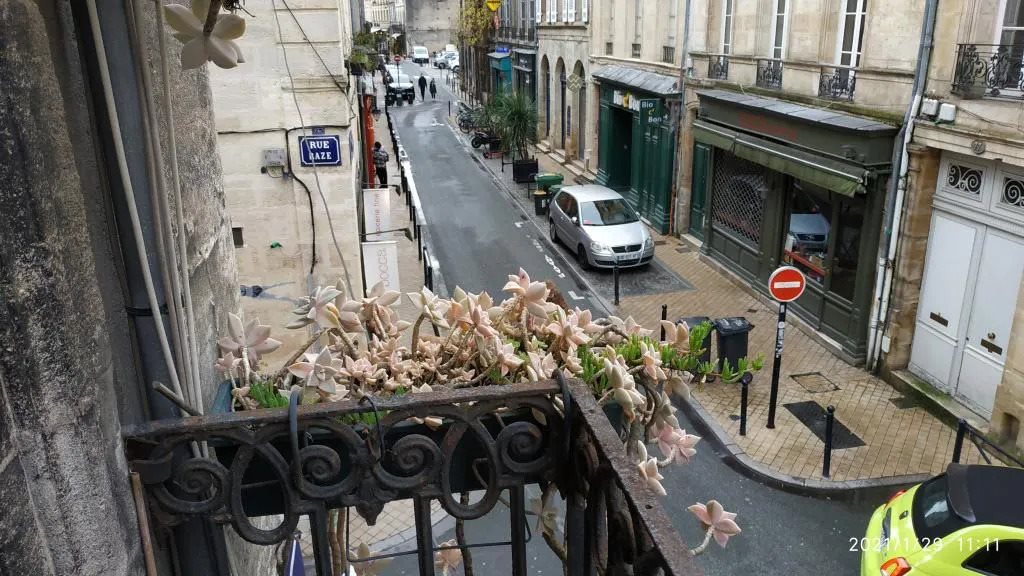 Appartement à louer, 59m², Bordeaux