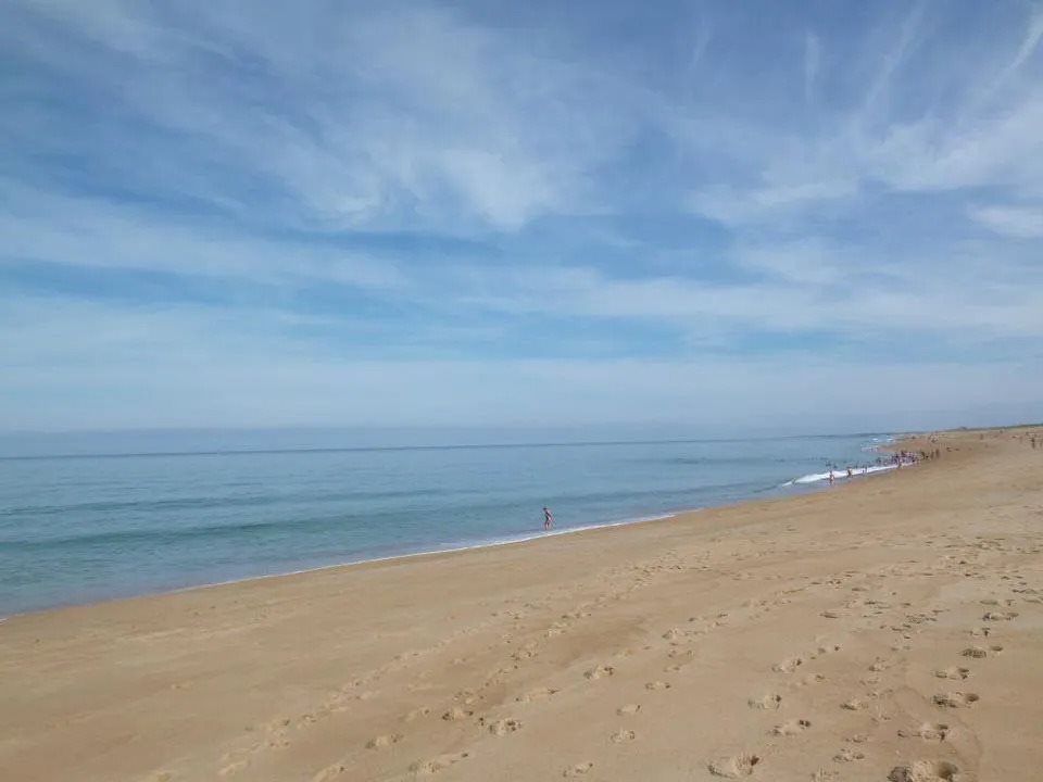 Appartement à louer, 35m², Tarnos