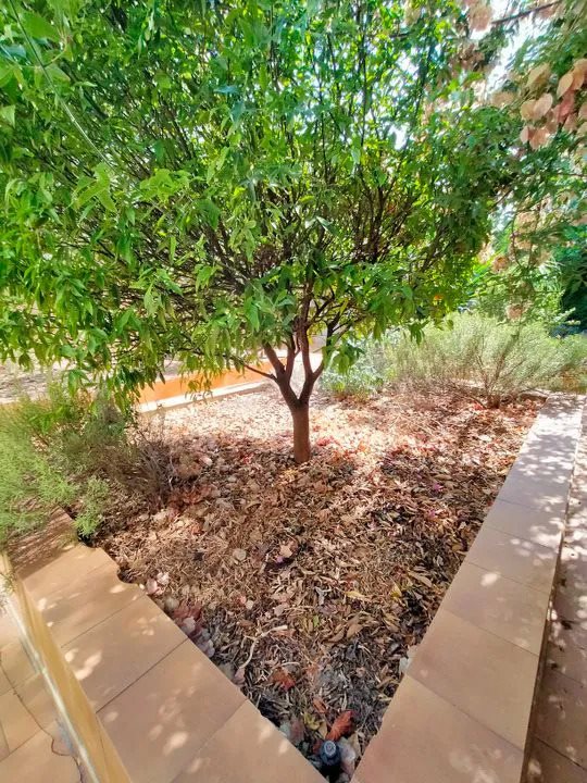Appartement à louer, 12m², Toulon