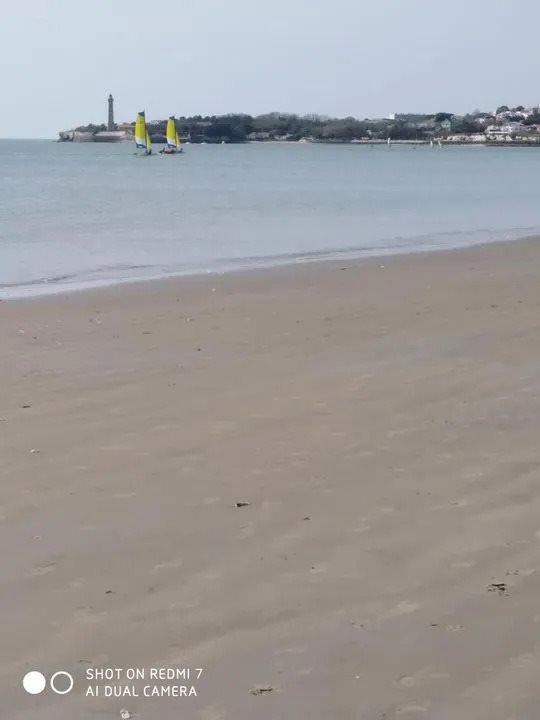 Appartement à louer, 29m², Saint-Georges-de-Didonne