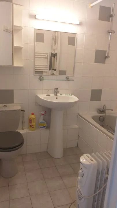 Appartement à louer, 30m², Lyon 7ème