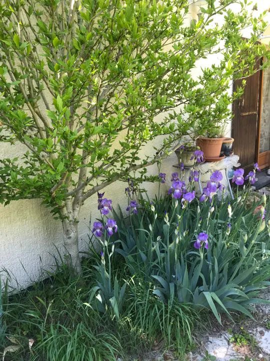 Appartement à louer, 31m², Évry-Courcouronnes