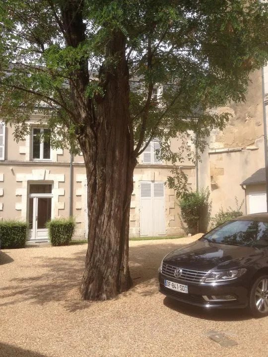 Appartement à louer, 66m², Poitiers