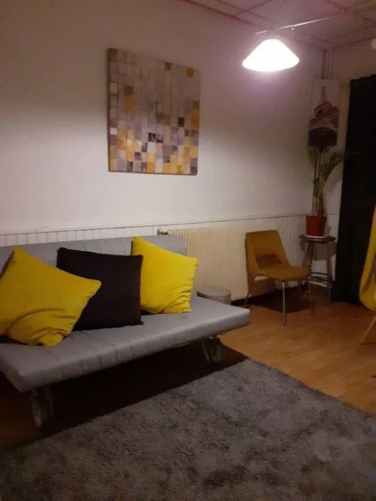 Appartement à louer, 28m², Maisons-Alfort