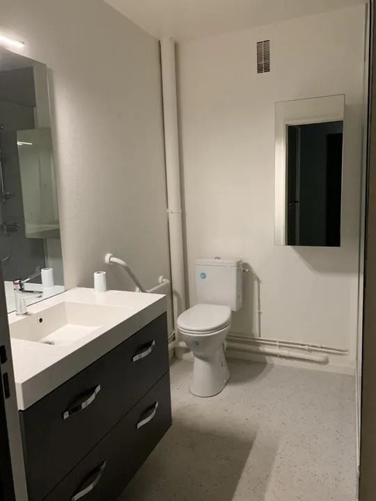 Appartement à louer, 41m², Tours