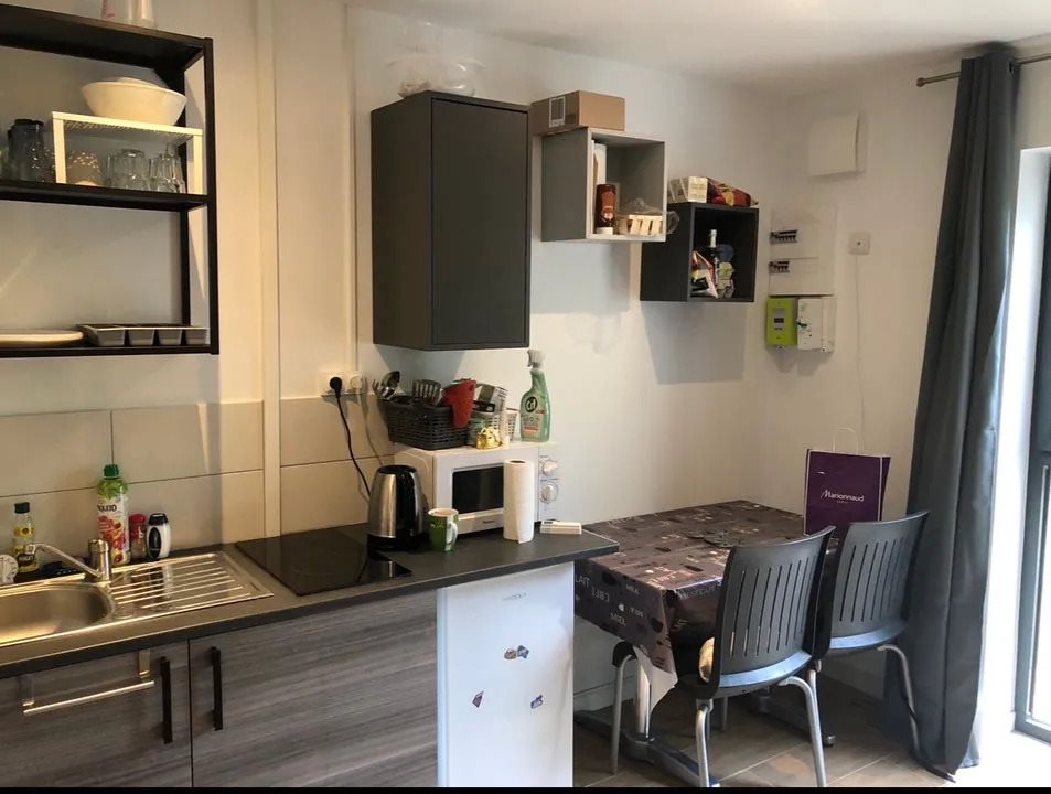 Appartement à louer, 17m², Bron