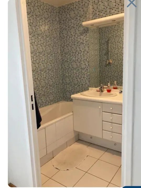 Appartement à louer, 10m², Châtillon