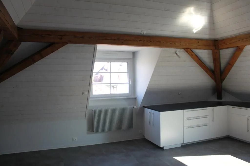 Appartement à louer, 50m², Strasbourg