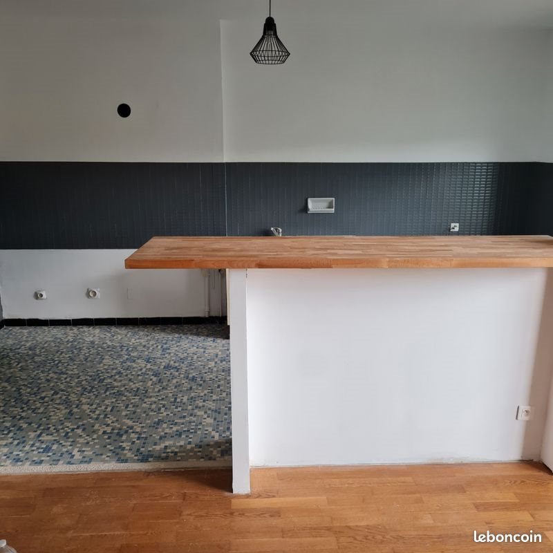 Appartement à louer, 59m², Saint-Etienne