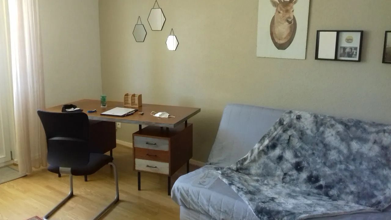 Appartement à louer, 36m², Colmar