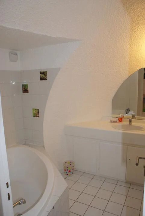 Appartement à louer, 24m², Feyzin