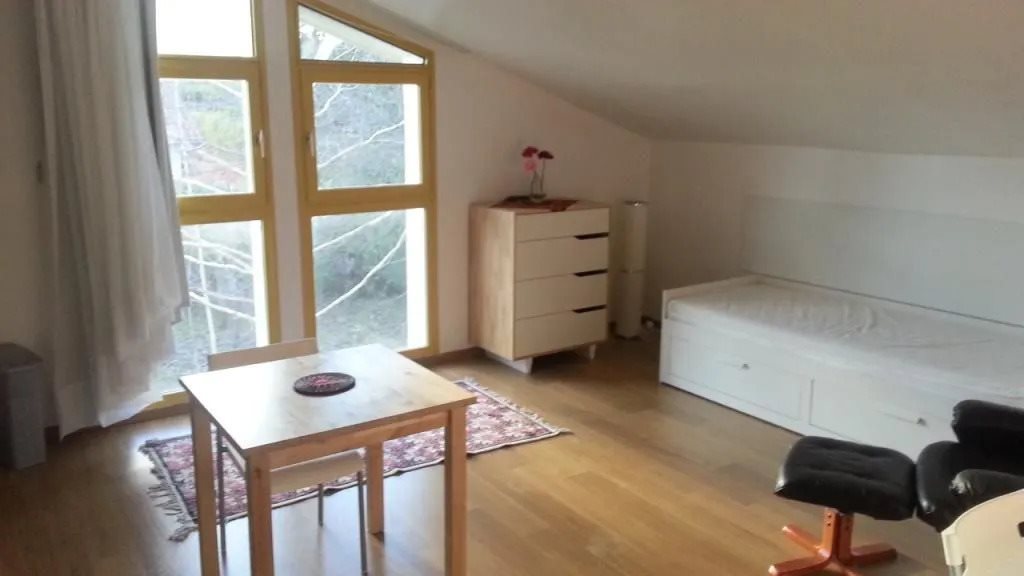 Appartement à louer, 25m², Meylan
