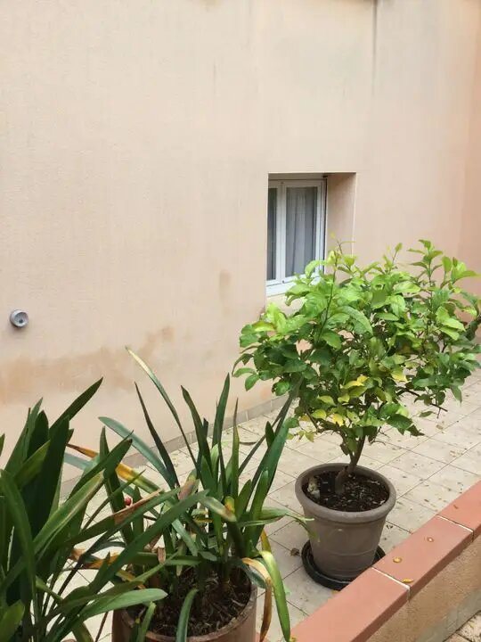 Appartement à louer, 35m², Castres