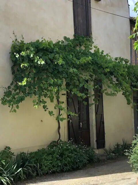 Maison à louer, 70m², Labastide-d'Armagnac