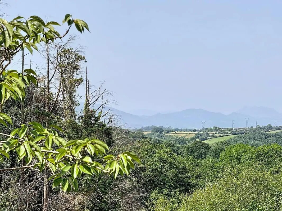 Maison à vendre, 343m², Ustaritz