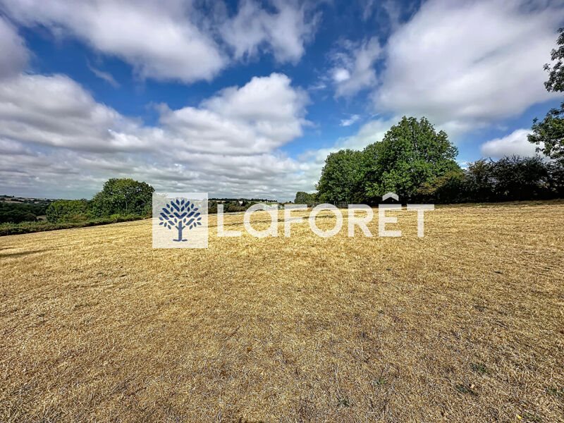 Maison à vendre, 700m², Saint-Paul-en-Gâtine