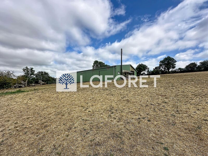 Maison à vendre, 700m², Saint-Paul-en-Gâtine