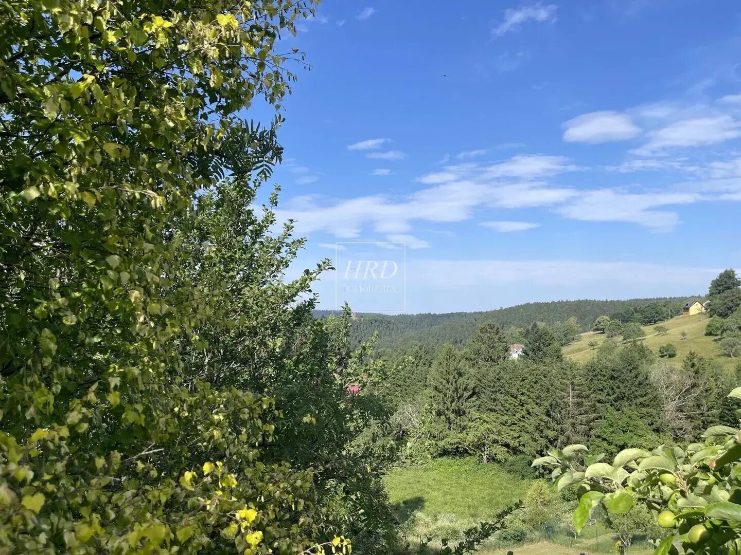 Maison à vendre, 100m², Wangenbourg-Engenthal