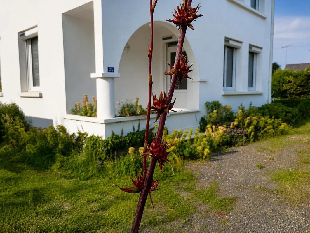 Maison à vendre, 151m², Missillac