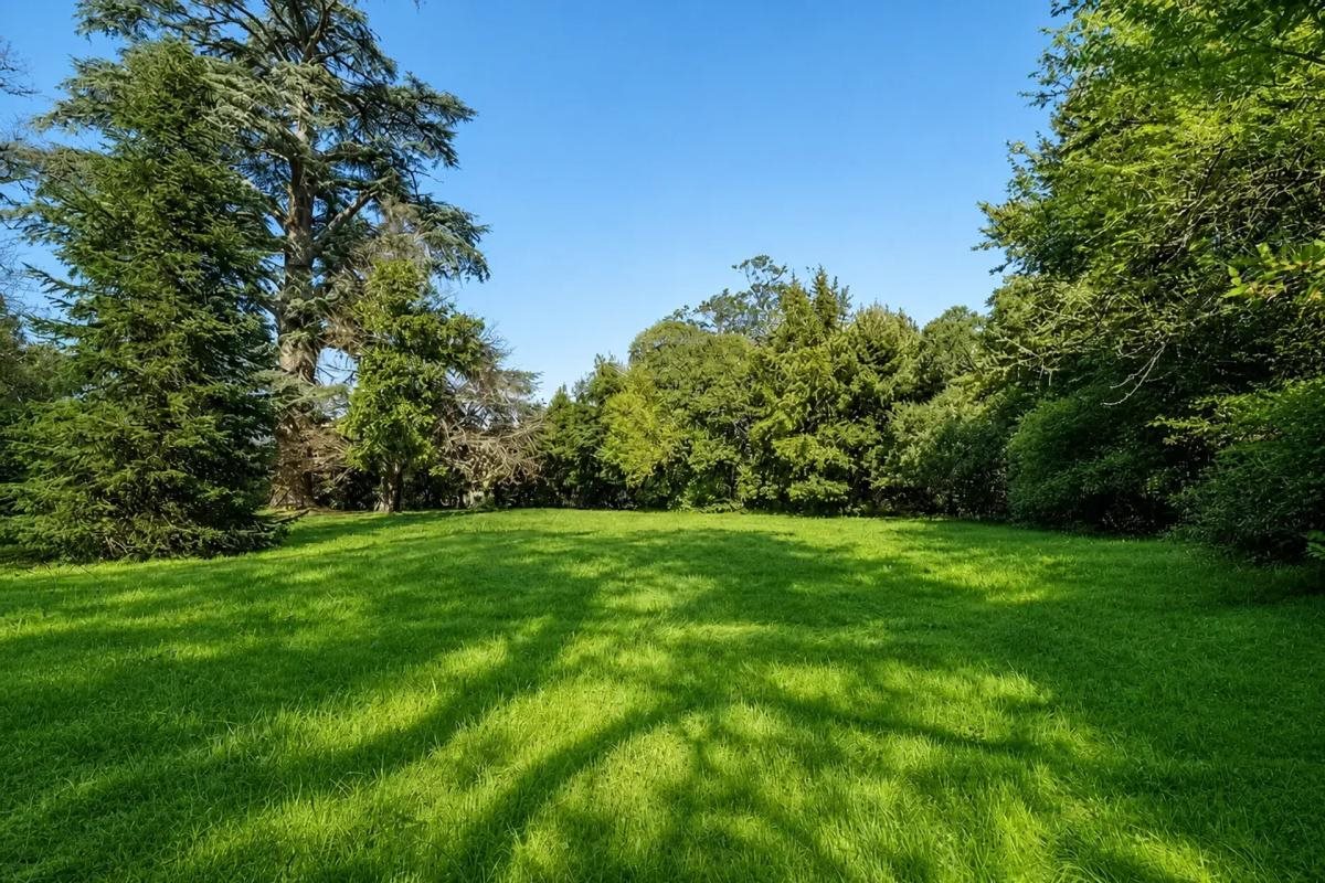 Maison à vendre, 260m², Tresses