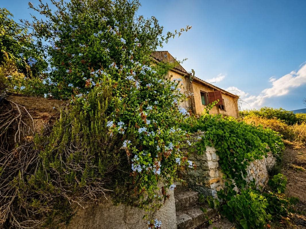 Maison à vendre, 110m², Ajaccio