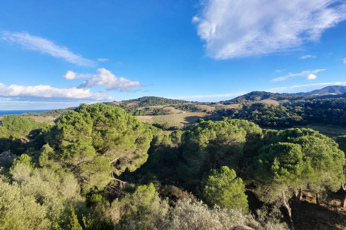 Maison à vendre, 264m², Port-Vendres