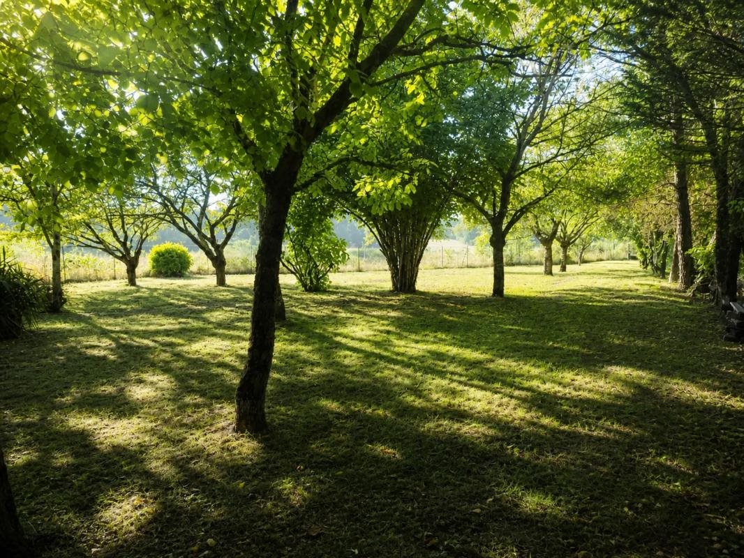 Maison à vendre, 200m², Linars