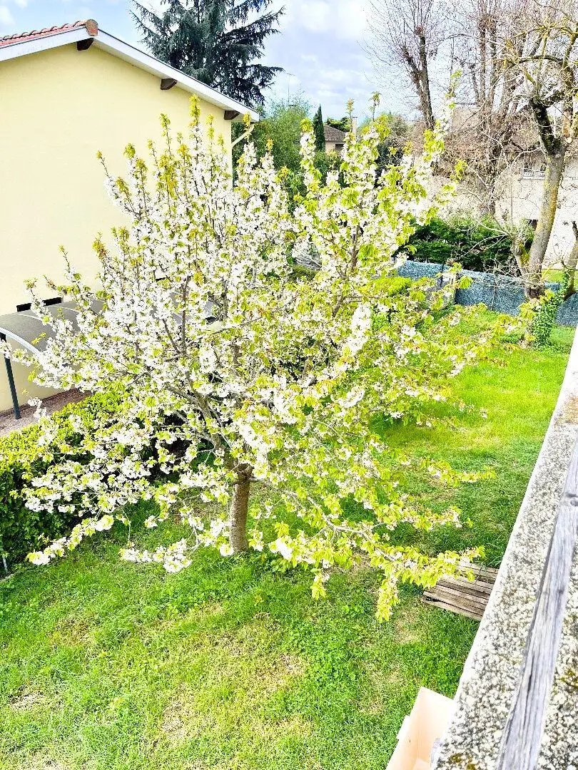 Maison à louer, 90m², Bruguières