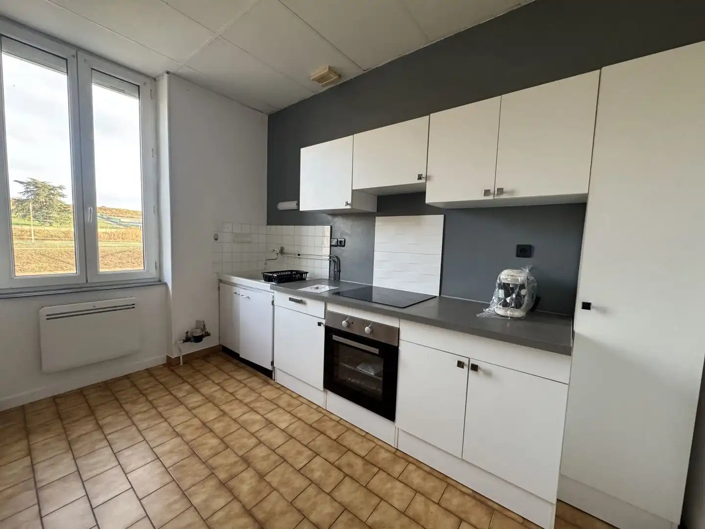 Appartement à louer, 44m², Ternay