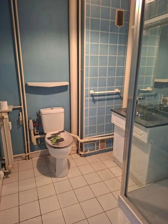 Appartement à vendre, 35m², Faches-Thumesnil